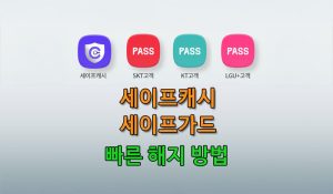 세이프캐시-세이프가드-해지