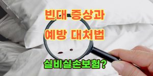 빈대원인과-예방-대처법-보험적용