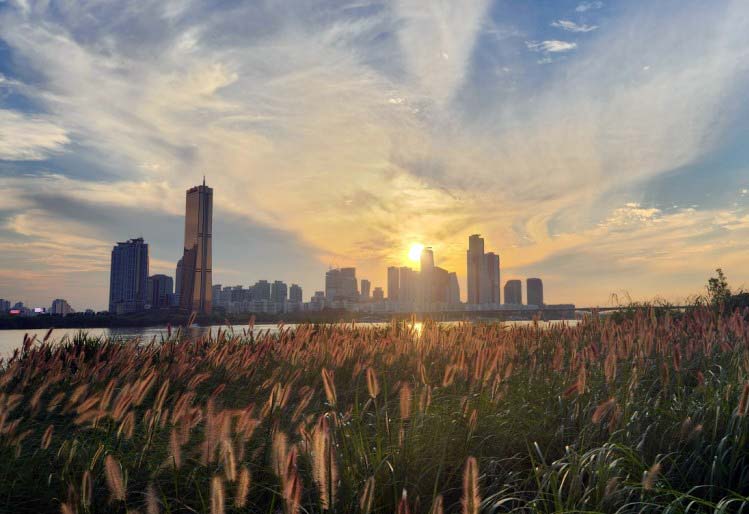 서울-한강공원-최신정보-교통-주차-이벤트-명소-위치02