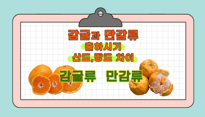 감귤-만감류-출하시기-산도-당도-특징