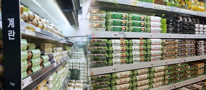 안전한-달걀-보관-신선-유지02