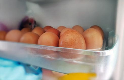 안전한-달걀-보관-신선-유지04