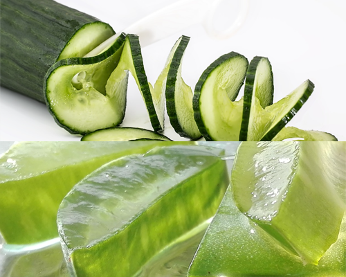 천연홈메이드 식물성 마스크팩0