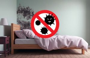 곰팡이-제거-방법-옷장-욕실-벽지