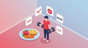 기초대사량-계산법-에너지-소비량