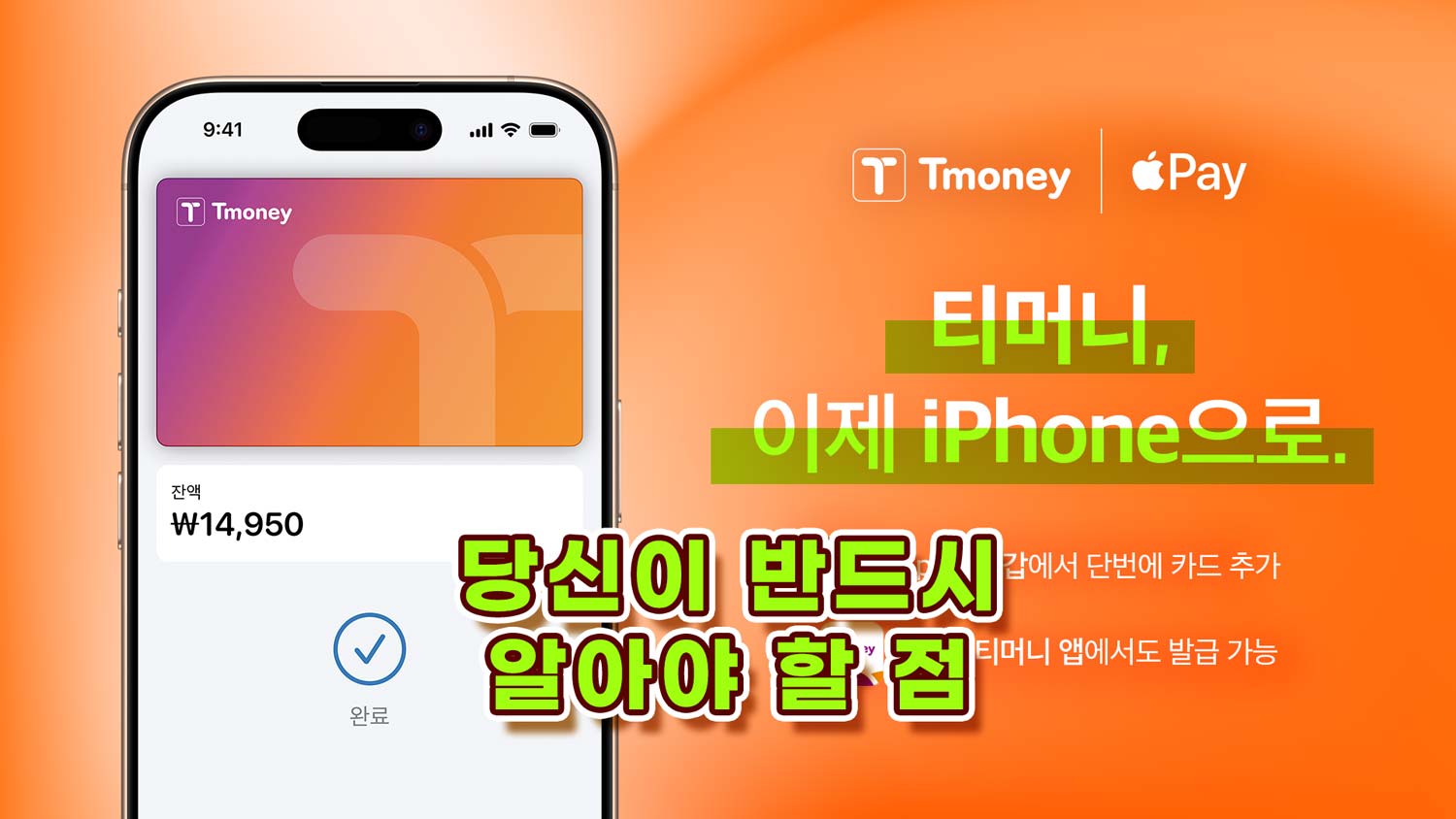 애플페이-티머니-실행