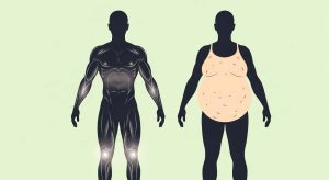 체성분-분석과-기초대사량의-관계