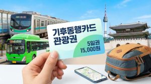 기후동행카드-관광권-1·3·5일권-서울-여행