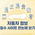 자동차-정보-필수-사이트-확인