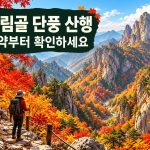 흘림골 단풍 산행과 예약 확인을 안내하는 가을 산 풍경 일러스트