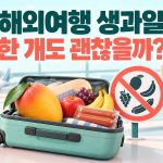해외여행 생과일·육포 반입, 진공포장이면 괜찮을까? 귀국 전 검역 확인