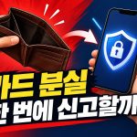 카드 분실 일괄신고, 지갑 속 여러 장 한 번에? 해제·재발급은 별도 확인 안내 썸네일