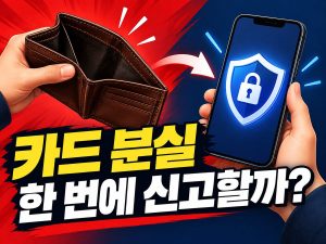 카드 분실 일괄신고, 지갑 속 여러 장 한 번에? 해제·재발급은 별도 확인 안내 썸네일